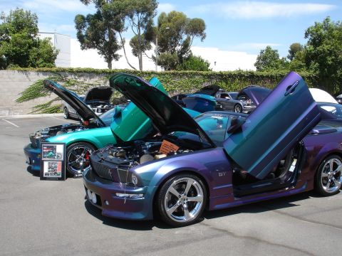 1993 Ford Taurus - Multiple custom Ford Mustangs are displayed with their hoods and doors open at an outdoor car show.