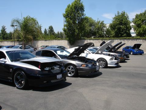 1993 Ford Taurus - Several Ford Mustangs are lined up with their hoods open at an outdoor car show.