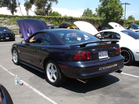 1993 Ford Taurus - Rear view of a dark purple 1996 Ford Mustang Cobra at a car show.