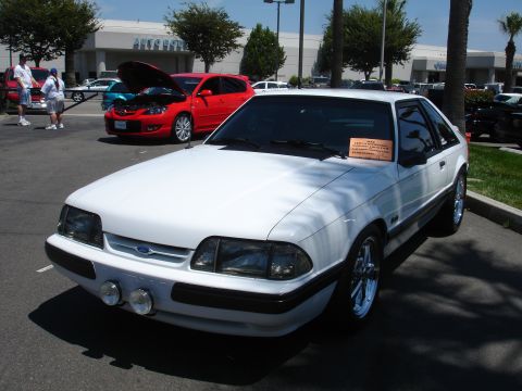 1993 Ford Taurus - A white 1993 Ford Mustang is parked at an outdoor car show with other vehicles visible in the background.