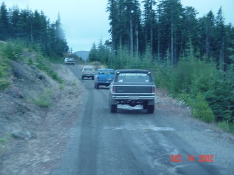 1989 Ford Bronco - Lets go get those trees