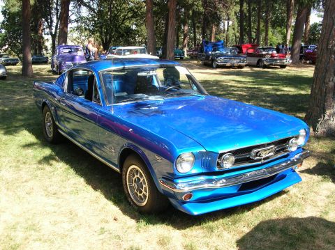 1965 Ford Mustang photo