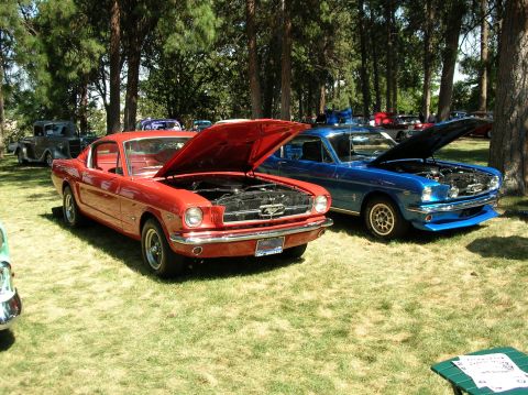 1965 Ford Mustang photo