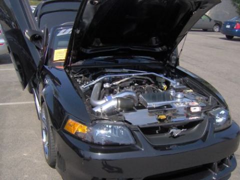 1991 Ford Taurus - This black Ford Mustang has its hood and doors open, revealing engine modifications and a custom look.