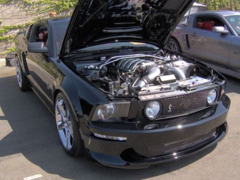 1991 Ford Taurus - A black Ford Mustang is parked with its hood open, revealing the engine and a Shelby Cobra emblem.