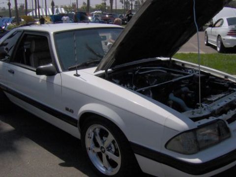 1991 Ford Taurus - This white coupe, likely a Ford Mustang based on the 5.0 badge and body style, is displayed with its hood open at an outdoor event.