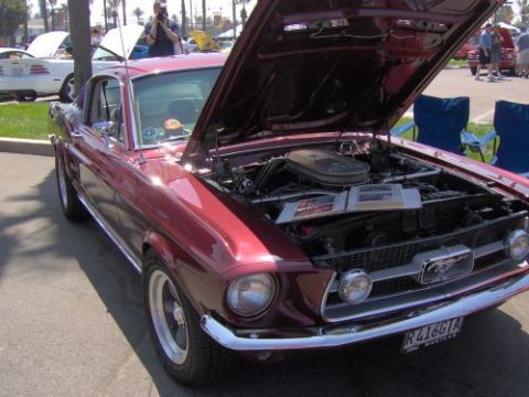 1991 Ford Taurus - A classic red Ford Mustang is displayed with its hood open, revealing the engine bay.
