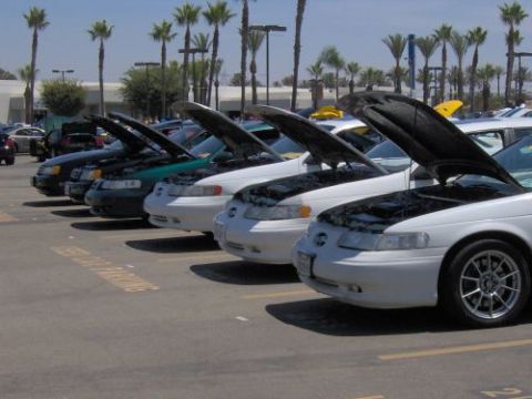 1991 Ford Taurus - A row of Ford Taurus sedans, likely from the early 1990s, are parked with their hoods open.