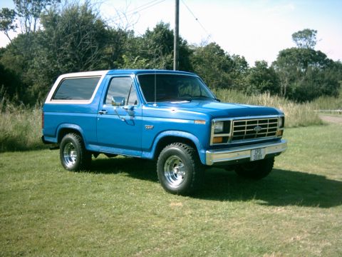 1982 Ford Bronco - This blue Ford Bronco is parked on a grassy area with trees in the background under a clear sky.