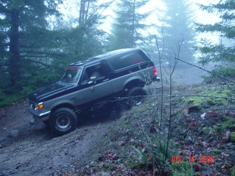 1989 Ford Bronco - A two-tone 1989 Ford Bronco navigates a steep, wooded trail on a foggy day.