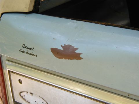 1986 Ford Bronco - Detail of a light blue tailgate a "Colonial Auto Brokers" decal and areas of chipped paint.