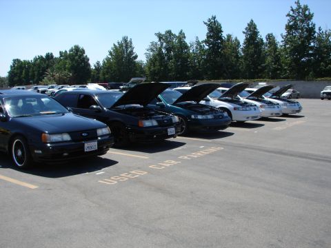 1992 Ford Taurus - Several Ford Tauruses are parked in a lot with their hoods open.