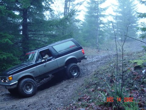 1989 Ford Bronco - No go