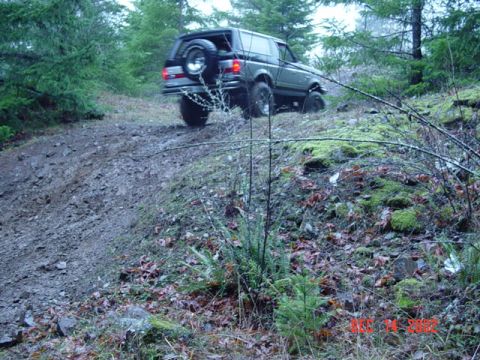 1989 Ford Bronco - A Ford Bronco navigates a steep, wooded trail.