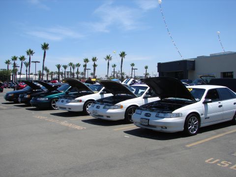 1992 Ford Taurus - A line of Ford Tauruses, likely from the 1992 model year, are displayed with their hoods open under a sunny sky.