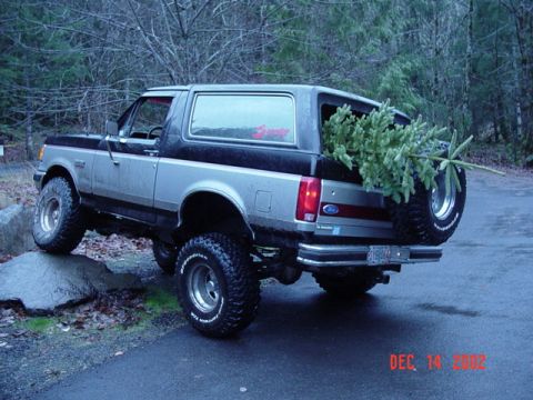 1989 Ford Bronco - Back at the rest stop after we got our trees