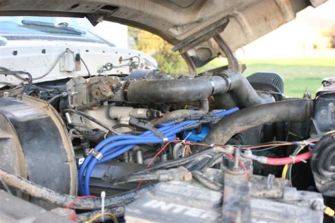 1978 Ford Bronco - Close-up of an engine bay with prominent blue spark plug wires and various engine components visible.
