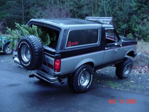 1989 Ford Bronco - A two-tone 1989 Ford Bronco is seen from the rear, with a Christmas tree loaded in its cargo area and a spare tire on the tailgate.