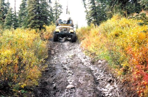 1978 Ford Bronco - A yellow Jeep CJ navigates a challenging muddy trail during autumn.