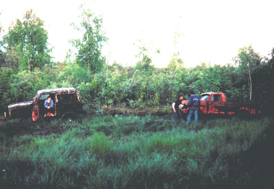Two rusty trucks sit in tall grass with trees in the background. A person is in the driver's seat of the left truck