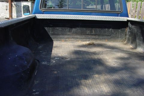 1993 Ford Bronco - View of the interior of a blue pickup truck's bed, showing the black liner and diamond plate trim.