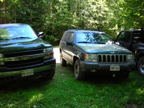1984 Ford Bronco - Two SUVs and a pickup truck are parked on a grassy area surrounded by trees.