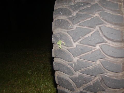 1991 Ford Bronco - A tire tread is visible with a small green leaf stuck in the pattern.