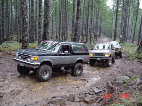 1989 Ford Bronco - We decided to watch them play