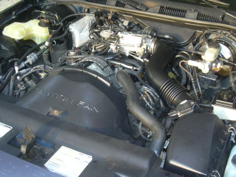 1996 Ford Crown Victoria - The engine bay of a vehicle is shown, with focus on the fan shroud and various hoses and components.