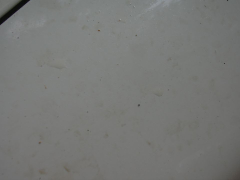 Close-up of a dirty, light-colored car hood with some small spots and a faint scratch