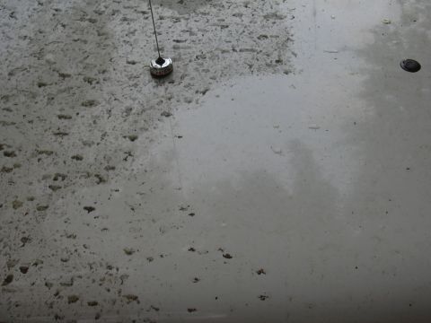 1997 Ford Crown Victoria - The photo shows a close-up of a car's hood, covered in water spots and dirt, with an antenna base visible.