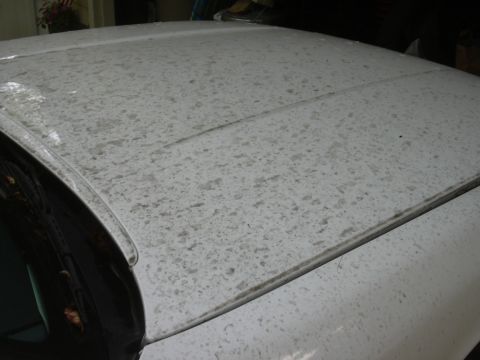 1997 Ford Crown Victoria - The white roof of a car is heavily soiled with dirt and water spots, obscuring any specific year identification.