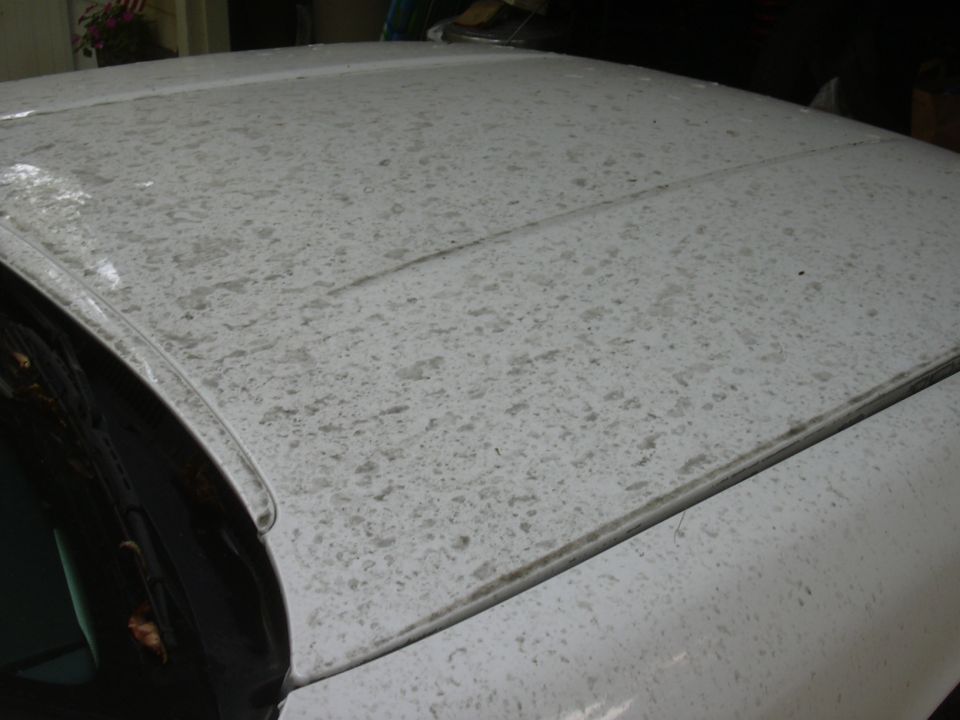 White car roof covered in dirt and water spots