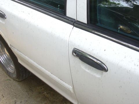 1997 Ford Crown Victoria - Side view of a white 1997 Ford Crown Victoria, highlighting its door handle and wheel.