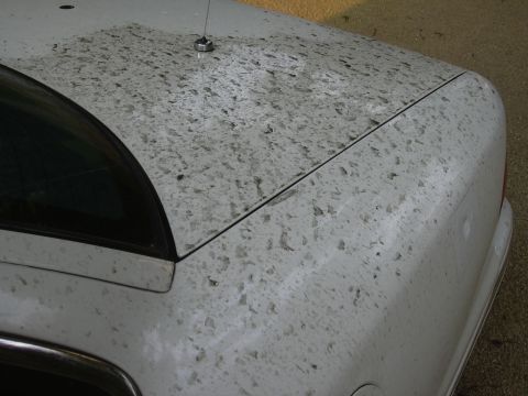 1997 Ford Crown Victoria - The rear of a white vehicle is heavily soiled with dirt and grime.