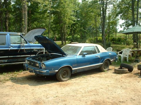 1978 Ford Mustang II - 1978 Ford Mustang II coupe and a blue pickup truck are parked outdoors with hoods open.