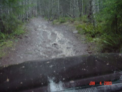 1989 Ford Bronco - Onward up firebreak 5