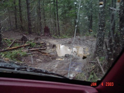 1989 Ford Bronco - Every low spot had water in it