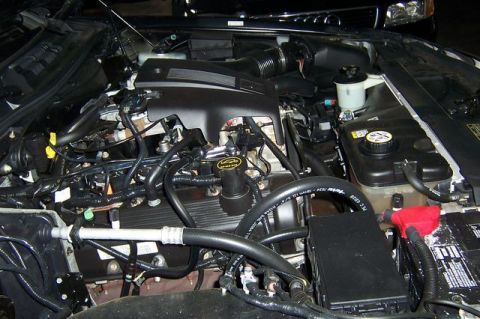 2003 Ford Crown Victoria photo