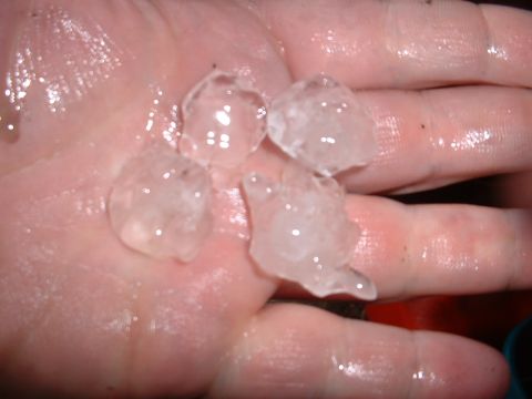 1978 Ford Mustang II - A person is holding several pieces of hail in their palm, showing the size and texture of the ice.