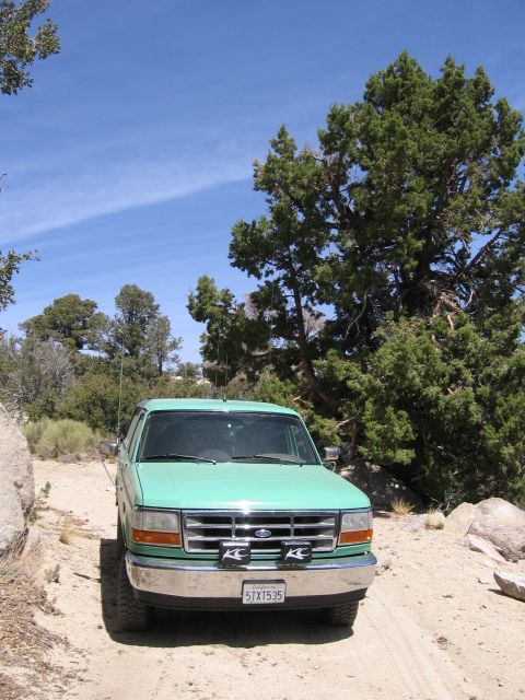 1996 Ford Bronco - Pipes Canyon