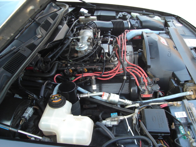 Engine bay of a 1992 Ford Crown Victoria, showing the V8 engine, red spark plug wires, and coolant reservoir