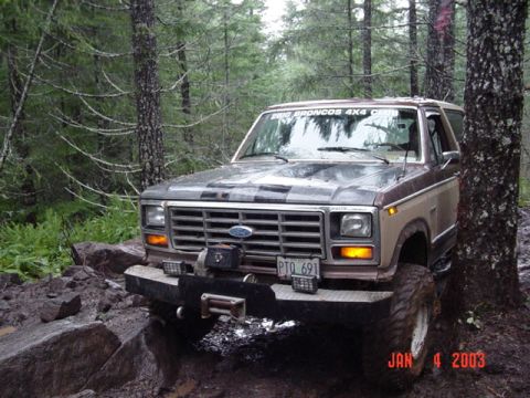 1989 Ford Bronco - Kinda rubbing the tree, gotta back up