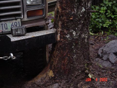 1989 Ford Bronco - Hooked the tree then BAM....