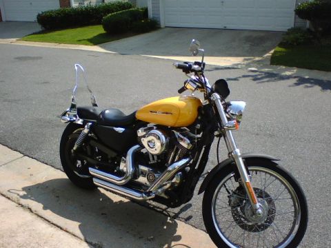 2006 Harley-Davidson Sportster Custom “Sin D Sue”