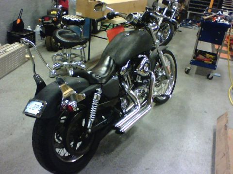 2006 Harley-Davidson Sportster Custom “Sin D Sue”