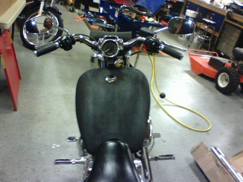 2006 Harley-Davidson Sportster Custom “Sin D Sue”