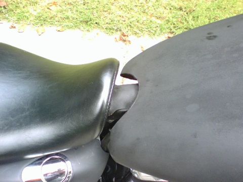 2006 Harley-Davidson Sportster Custom “Sin D Sue”