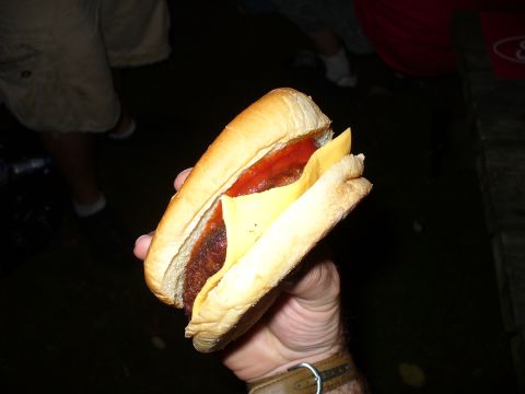 1991 Ford Probe - A person holds a hot dog with cheese and ketchup in a bun.