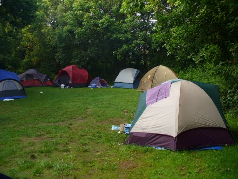 1991 Ford Probe - A campsite is established with multiple tents pitched on a lawn surrounded by dense foliage.